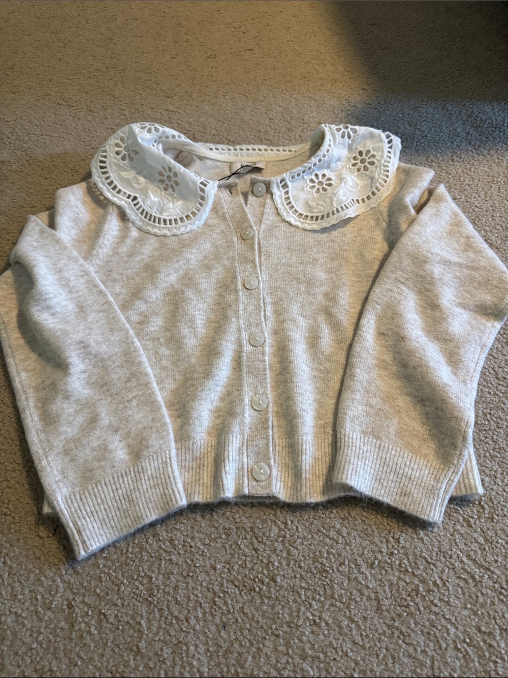 NWT Avara Braelyn Cardigan